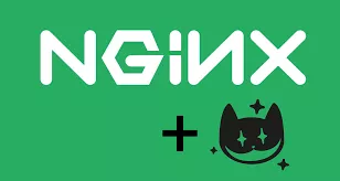 ubuntu宿主机直接安装wordpress并配置nginx开启https访问